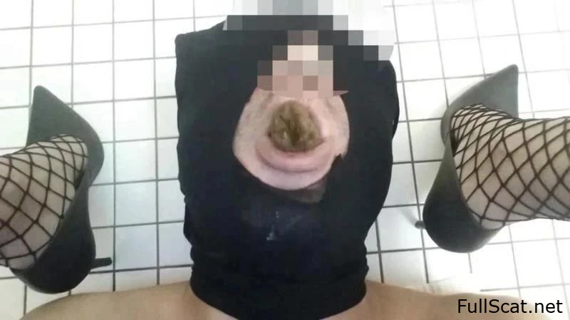 レディ ミレーナ - サディスティックな歌姫がスカトロでレッスン - トイレに逃げる, 下痢濃縮, フェムドムの嘔吐